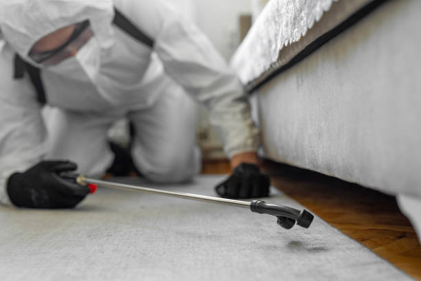 Professional Termite Control technician working in Benbrook, TX