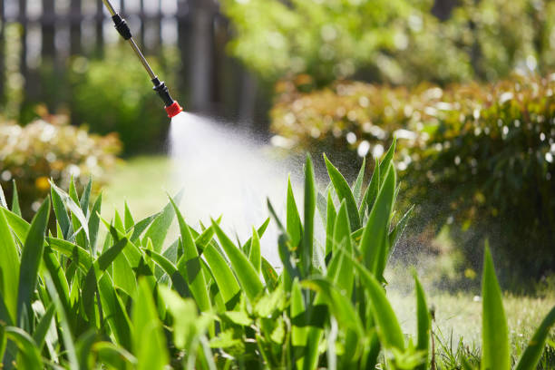 24/7 Emergency Termite Control experts in Benbrook, TX